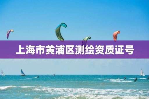 上海市黄浦区测绘资质证号