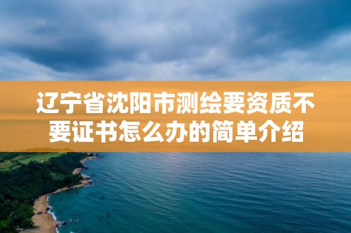 辽宁省沈阳市测绘要资质不要证书怎么办的简单介绍