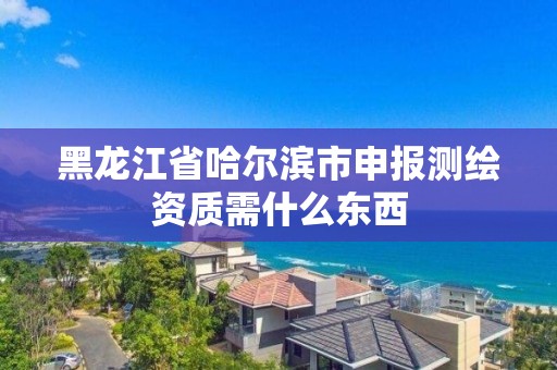 黑龙江省哈尔滨市申报测绘资质需什么东西