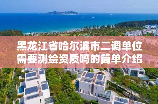 黑龙江省哈尔滨市二调单位需要测绘资质吗的简单介绍