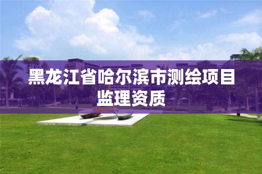 黑龙江省哈尔滨市测绘项目监理资质