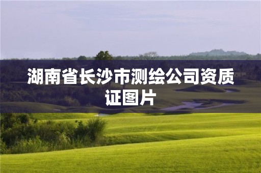 湖南省长沙市测绘公司资质证图片