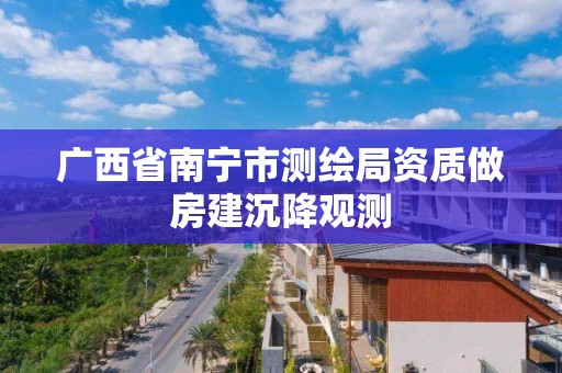 广西省南宁市测绘局资质做房建沉降观测