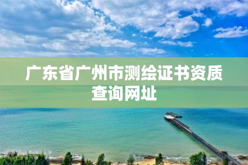 广东省广州市测绘证书资质查询网址