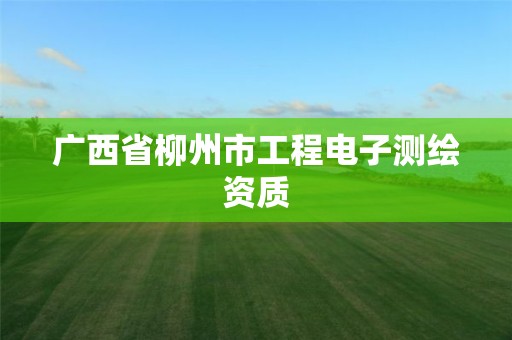 广西省柳州市工程电子测绘资质