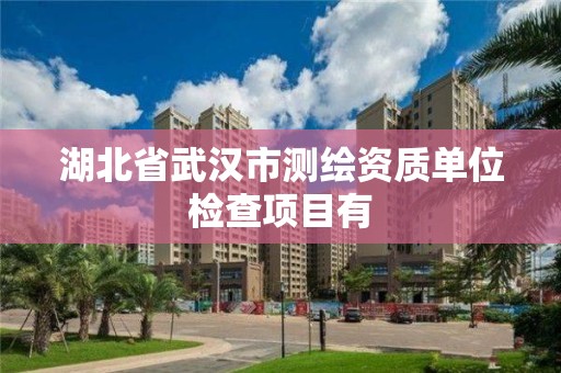 湖北省武汉市测绘资质单位检查项目有