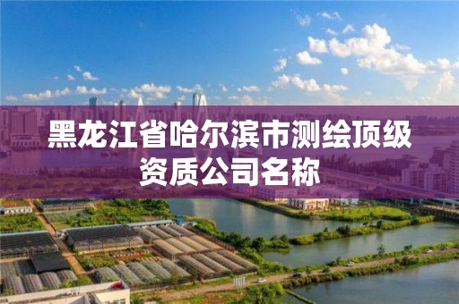 黑龙江省哈尔滨市测绘顶级资质公司名称