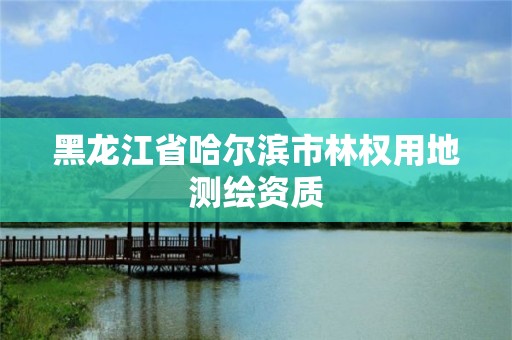 黑龙江省哈尔滨市林权用地测绘资质