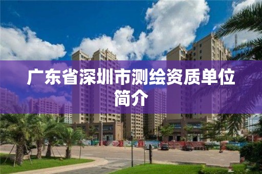 广东省深圳市测绘资质单位简介