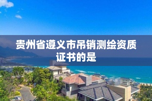 贵州省遵义市吊销测绘资质证书的是