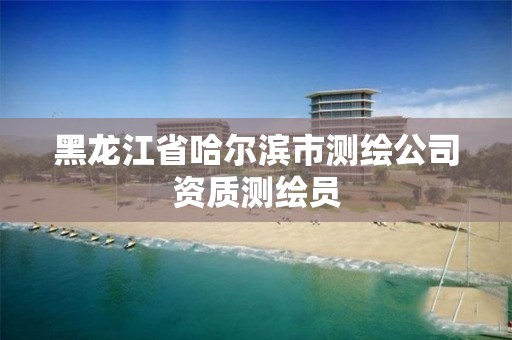 黑龙江省哈尔滨市测绘公司资质测绘员