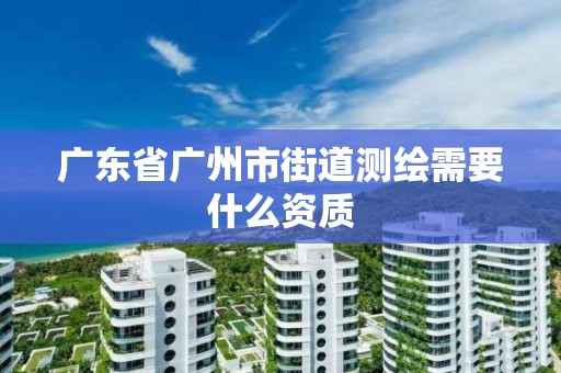 广东省广州市街道测绘需要什么资质