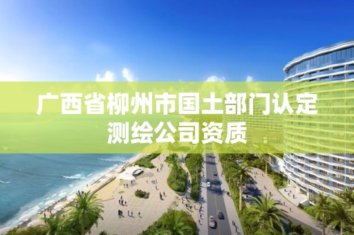 广西省柳州市国土部门认定测绘公司资质