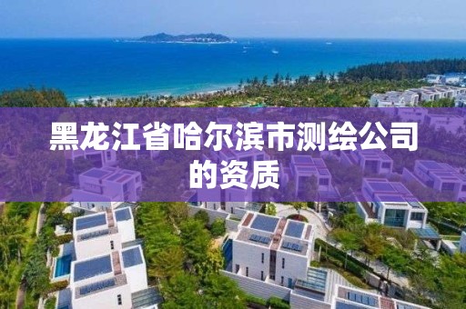 黑龙江省哈尔滨市测绘公司的资质