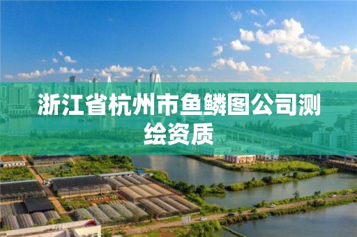 浙江省杭州市鱼鳞图公司测绘资质