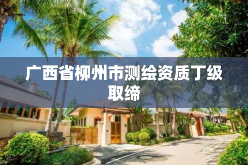 广西省柳州市测绘资质丁级取缔