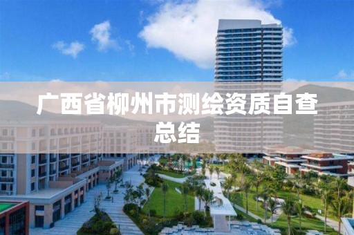 广西省柳州市测绘资质自查总结