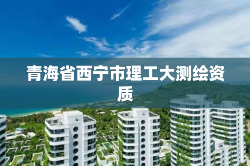 青海省西宁市理工大测绘资质