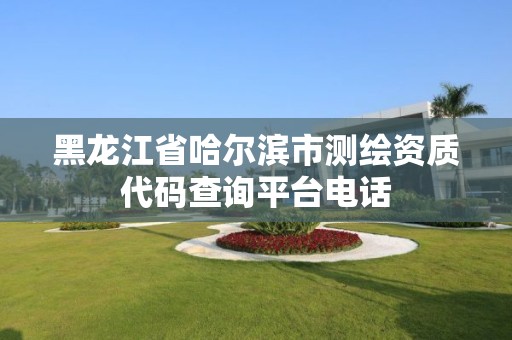 黑龙江省哈尔滨市测绘资质代码查询平台电话