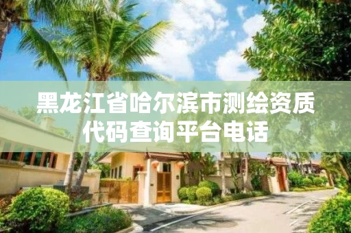 黑龙江省哈尔滨市测绘资质代码查询平台电话 黑龙江省哈尔滨市测绘资质代码查询平台电话