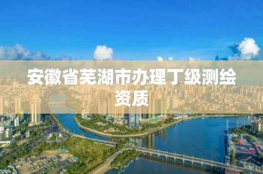 安徽省芜湖市办理丁级测绘资质