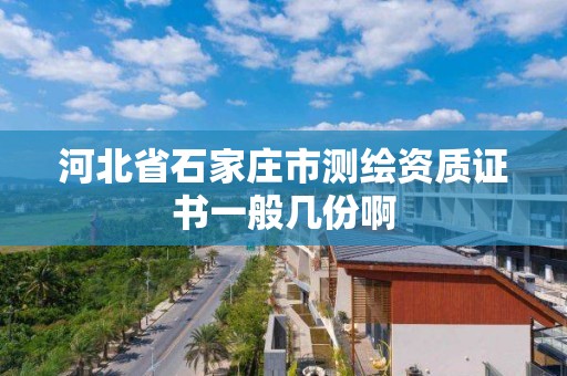 河北省石家庄市测绘资质证书一般几份啊