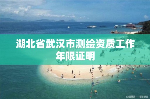 湖北省武汉市测绘资质工作年限证明