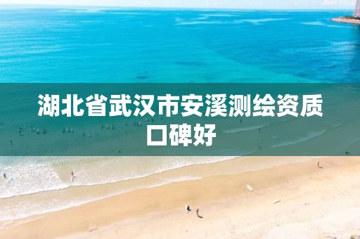 湖北省武汉市安溪测绘资质口碑好