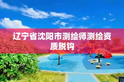 辽宁省沈阳市测绘师测绘资质脱钩