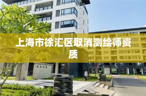 上海市徐汇区取消测绘师资质