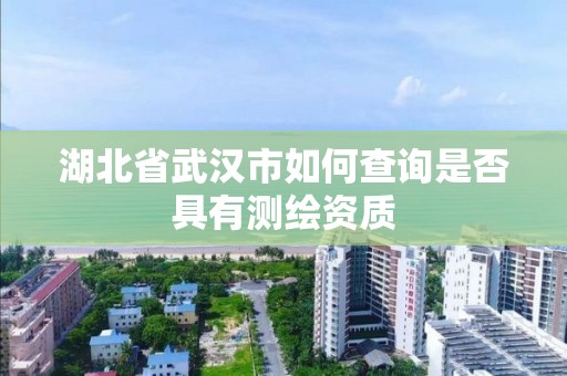 湖北省武汉市如何查询是否具有测绘资质