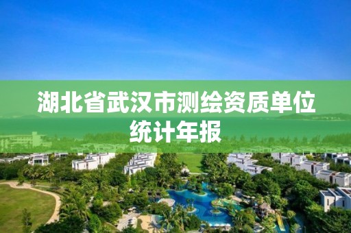 湖北省武汉市测绘资质单位统计年报