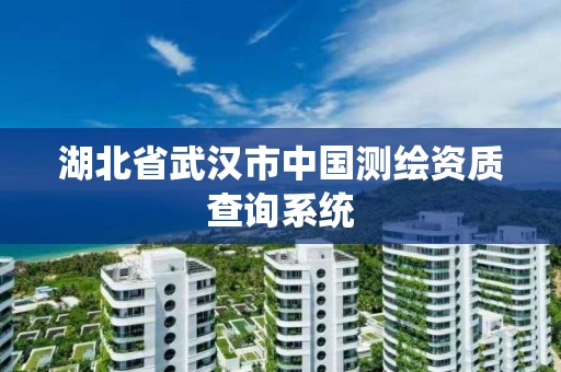 湖北省武汉市中国测绘资质查询系统