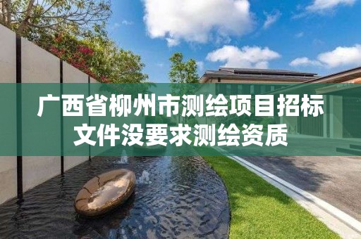 广西省柳州市测绘项目招标文件没要求测绘资质