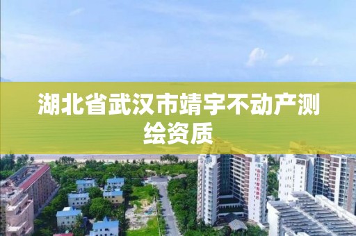 湖北省武汉市靖宇不动产测绘资质