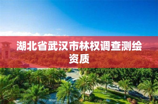 湖北省武汉市林权调查测绘资质