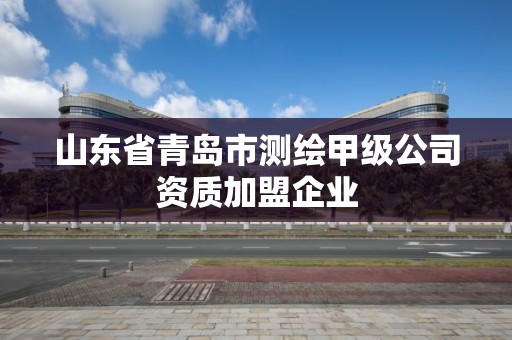 山东省青岛市测绘甲级公司资质加盟企业