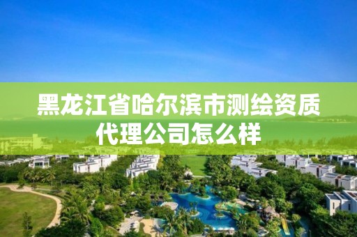 黑龙江省哈尔滨市测绘资质代理公司怎么样