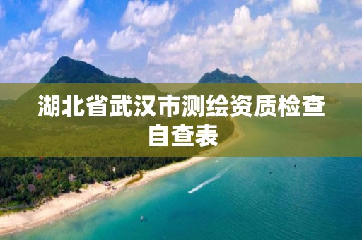 湖北省武汉市测绘资质检查自查表