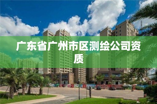 广东省广州市区测绘公司资质