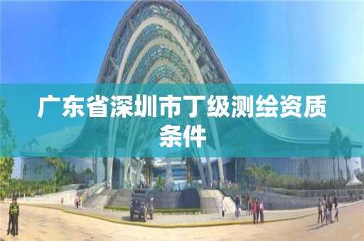 广东省深圳市丁级测绘资质条件