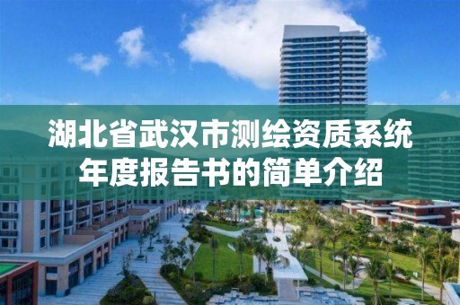 湖北省武汉市测绘资质系统年度报告书的简单介绍