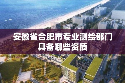 安徽省合肥市专业测绘部门具备哪些资质