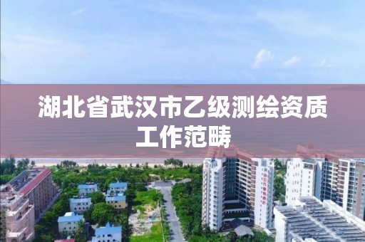 湖北省武汉市乙级测绘资质工作范畴