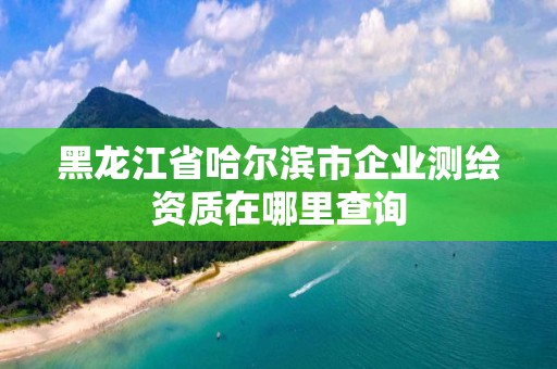 黑龙江省哈尔滨市企业测绘资质在哪里查询