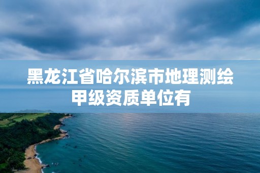 黑龙江省哈尔滨市地理测绘甲级资质单位有