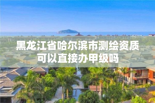 黑龙江省哈尔滨市测绘资质可以直接办甲级吗