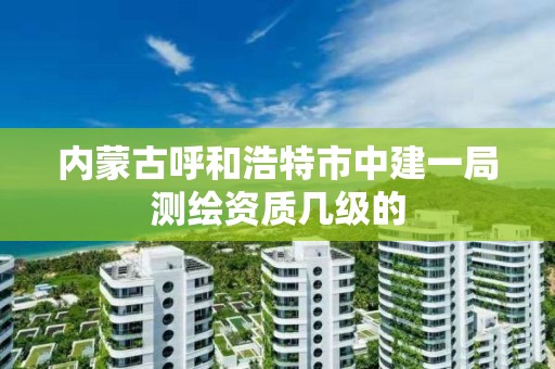 内蒙古呼和浩特市中建一局测绘资质几级的