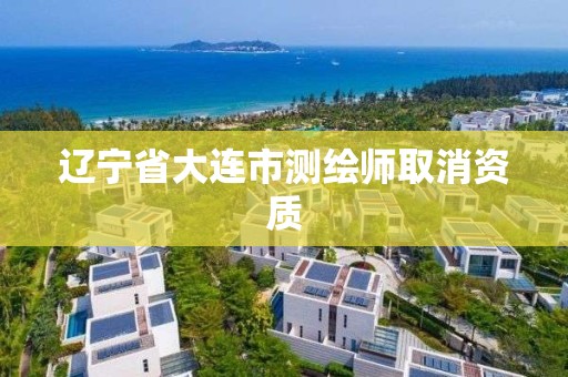 辽宁省大连市测绘师取消资质