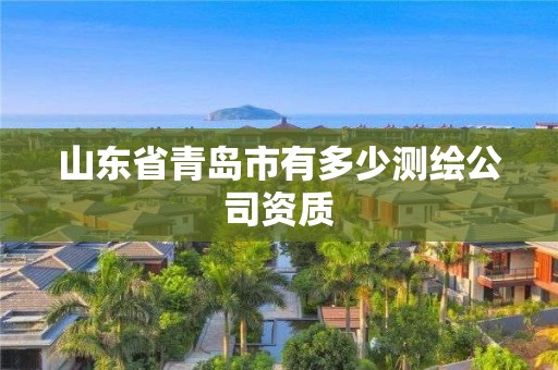 山东省青岛市有多少测绘公司资质